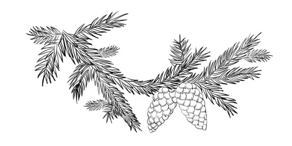 Rama floral de abeto en blanco y negro. Marco de Navidad hecho de ramas de abeto y conos. — Vector de stock