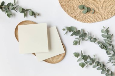 Yazın düzenlenmiş düğün masaüstü kırtasiyesi modeli. Boş bir tebrik ve davetiye kartı. Boş alanlı yeşil tropikal yapraklar.