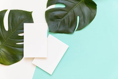 Yazın düzenlenmiş düğün masaüstü kırtasiyesi modeli. Boş bir tebrik ve davetiye kartı. Boş alanlı yeşil tropikal yapraklar.