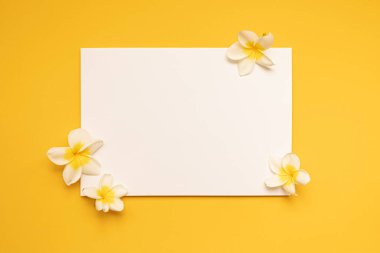 Tarz sahibi bir yaz modeli. Boş bir tebrik ve davetiye kartı. Boş alanı olan kurumuş tropik yapraklar..