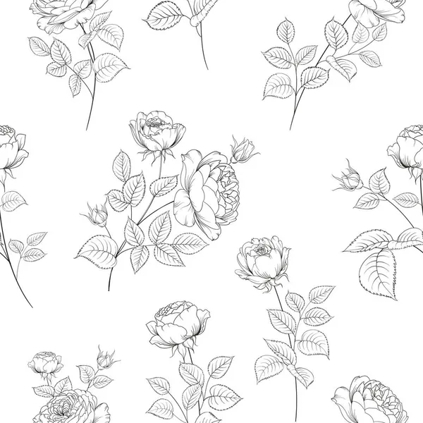 Sömlös mönster från blommor av rosor på en vit bakgrund. — Stock vektor