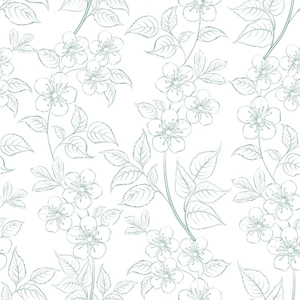 Sakura seamless pattern on white background. — Stock Vector