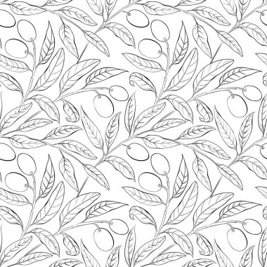 Beyaz arkaplanda kusursuz zeytin dalları.