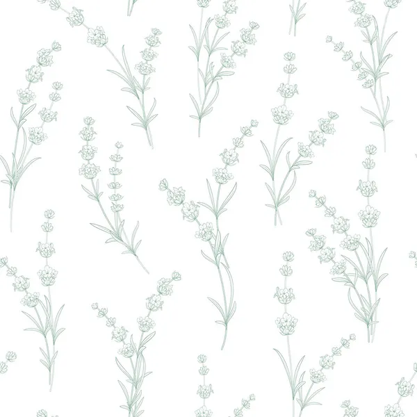 Безшовний візерунок з квітів лаванди на білому тлі . — стоковий вектор