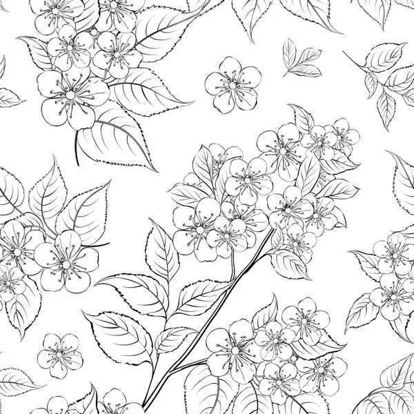 Patrón sin costura Sakura sobre fondo blanco. — Archivo Imágenes Vectoriales