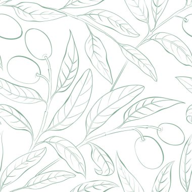 Beyaz arkaplanda kusursuz zeytin dalları.