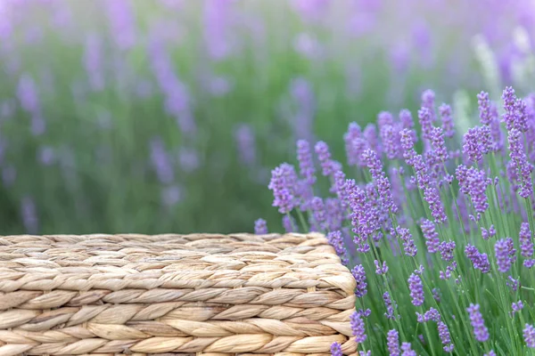 Perspective background with wooden table for your design. Lavender field region Provence — 图库照片