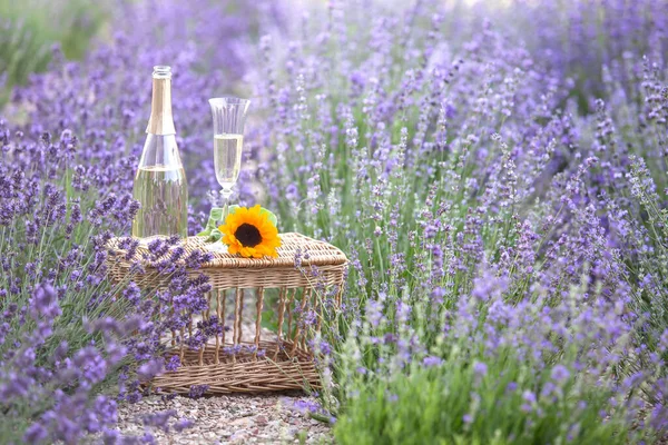 Bicchiere di champagne in un campo di lavanda. Fiori viola sullo sfondo. — Foto Stock