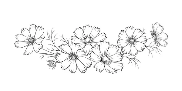 Silueta negra de una guirnalda de flores cosmos. Ilustración vectorial sobre fondo blanco. — Vector de stock