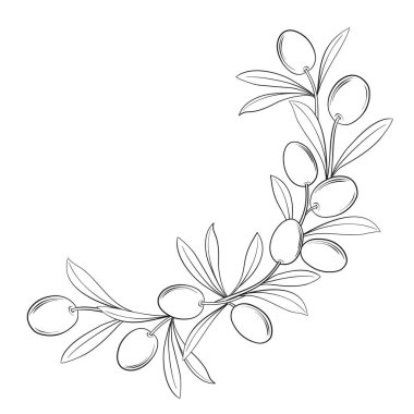 Siyah ve beyaz arkaplanda zeytin dallarından bir çerçeve çizimi.