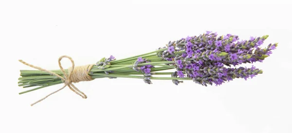 Lavendelsträuße auf einem isolierten Hintergrund. Lila Blüten. — Stockfoto