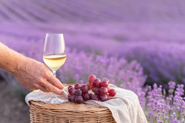 Glass of white wine in a lavender field. Violet flowers on the background. — Stock Photo, Image