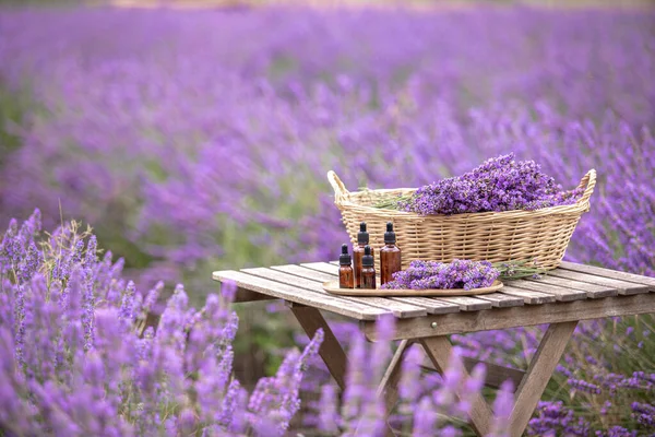 Amber esenciální levandulový olej láhev. Fialové levendulové pole v Provence. — Stock fotografie