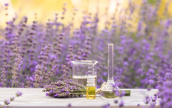 Amber garrafa de óleo de lavanda essencial. Campo de lavandaria violeta na Provença. — Fotografia de Stock