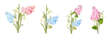 Beyaz arkaplanda farklı leylak kümeleri.