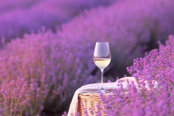 Glass of white wine in a lavender field. Violet flowers on the background. — Stock Photo, Image