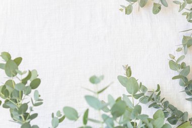 Canlı arkaplanda tropikal yapraklar. Yaz düzlüğü kompozisyonu.