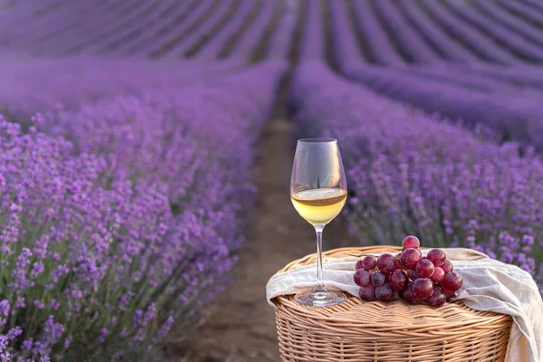Bicchiere di vino bianco in un campo di lavanda. Fiori viola sullo sfondo. — Foto Stock