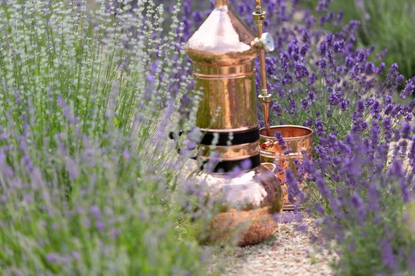 Destilación Aceite Esencial Lavanda Hidrolato Alambic Cobre Para Campo Floración — Foto de Stock