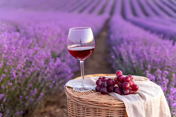 Ett Glas Vitt Vin Ett Lavendelfält Violetta Blommor Bakgrunden — Stockfoto