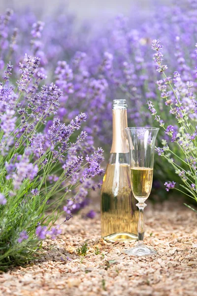 Glass Champagne Lavender Field Violet Flowers Background — Stock Photo, Image