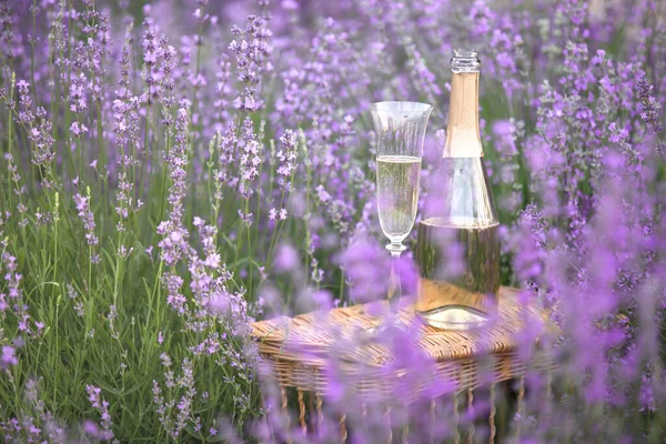 Ett Glas Champagne Ett Lavendelfält Violetta Blommor Bakgrunden — Stockfoto