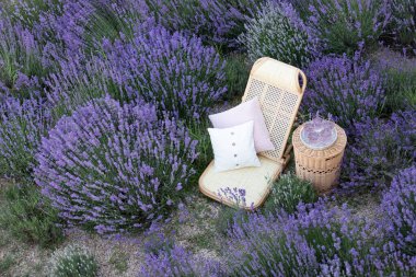 Lavanta tarlasında bir bardak limonata. Arka planda mor çiçekler