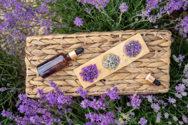 Kehribar lavanta yağı şişesi. Provence 'deki Violet lavanta tarlası