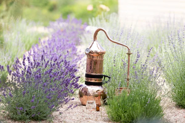 Distillation Lavender Essential Oil Hydrolate Copper Alambic Flowering Field — Stock Photo, Image