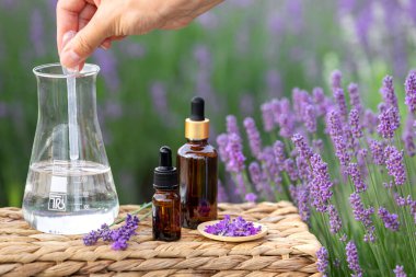 Kehribar lavanta yağı şişesi. Provence 'deki Violet lavanta tarlası