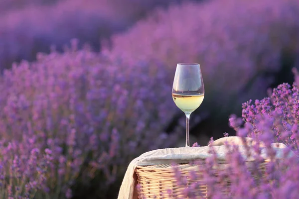 Glass White Wine Lavender Field Violet Flowers Background — Stock Photo, Image