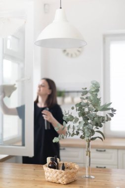 Pencereyi paçavra ve spreyle temizleyen kadın.