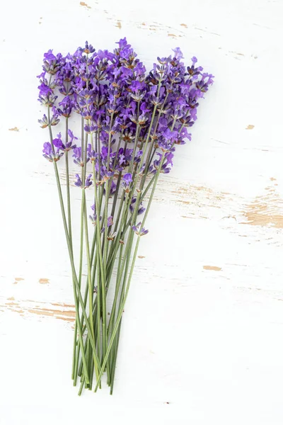 Lavender Bouquets Isolated Background Purple Flowers — Stock Photo, Image