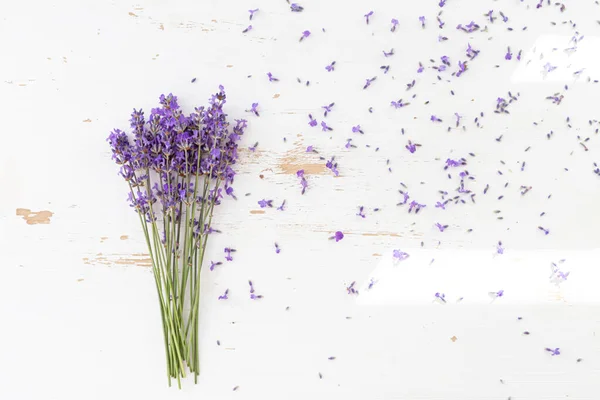 Лавандовые Букеты Изолированном Фоне Фиолетовые Цветы — стоковое фото