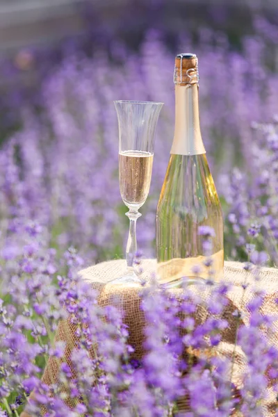 Glas Champagner Einem Lavendelfeld Veilchen Blumen Auf Dem Hintergrund — Stockfoto