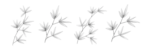 Набор Различных Бамбуковых Ветвей Белом Фоне — стоковый вектор