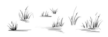 Beyaz arkaplanda farklı çimenler kümesi