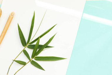 Canlı arkaplanda tropikal yapraklar. Düzleştirilmiş yaz kompozisyonu.