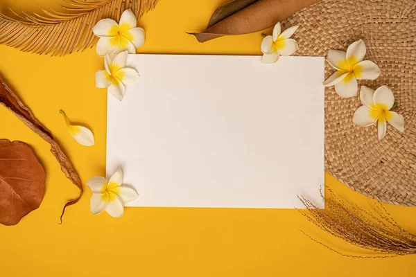 Modelo Verão Com Estilo Saudação Branco Cartão Convite Folhas Tropicais — Fotografia de Stock