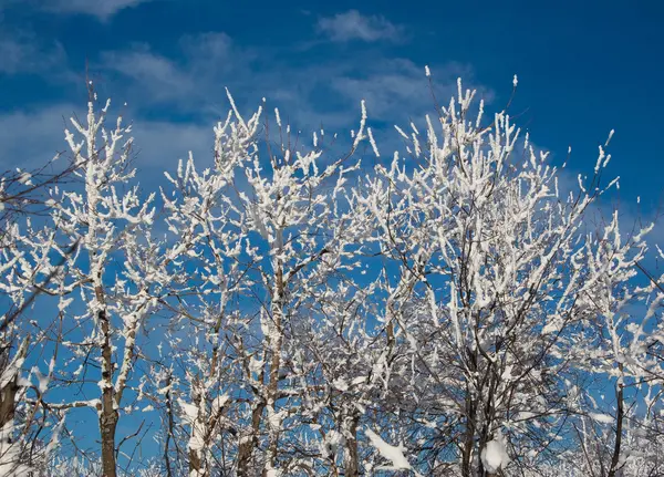 Winter komt Stockfoto