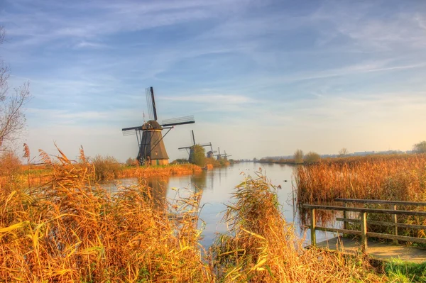 Moinho de vento no campo kinderdijk — Fotografia de Stock