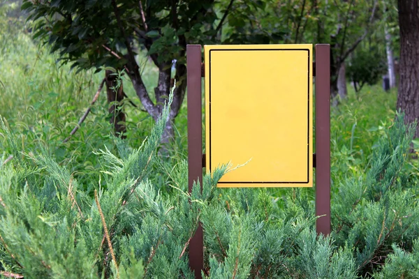 Ormanda işaret — Stok fotoğraf
