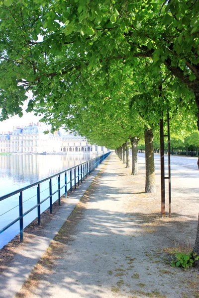 Fontainebleau sessiz avenue — Stockfoto