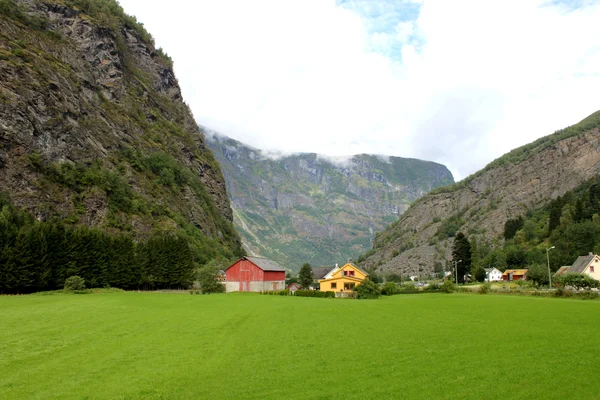 Landsbygden Visa nära flam, Norge — Stockfoto