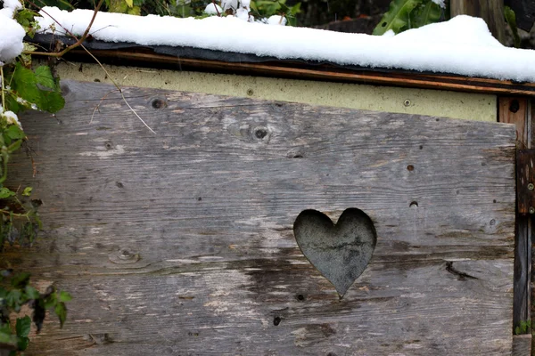 Herzmuster auf dem Holz — Stockfoto