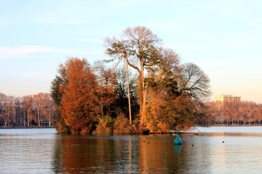 Lake Island renkli ağaçlar ile