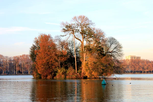 Lake eiland met kleurrijke bomen — Stockfoto