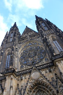 katedrala svateho vita Prag