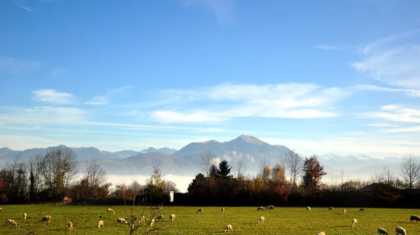 Eine Landschaft in der Schweiz — Stockfoto