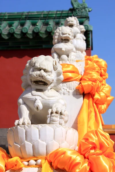 Китайские каменные львы в строю — стоковое фото